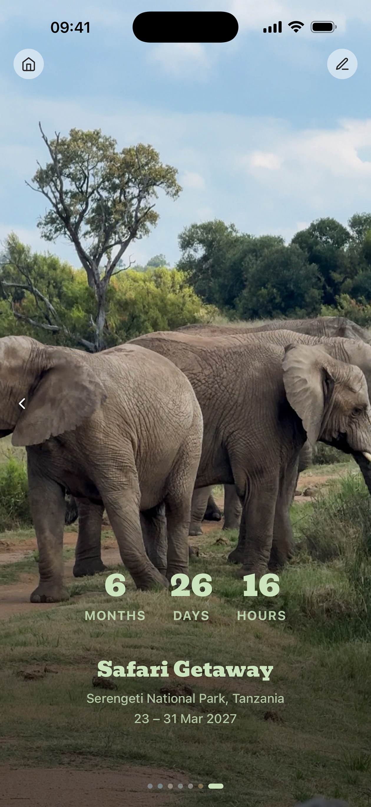 Until I Go app showing a countdown to a safari trip